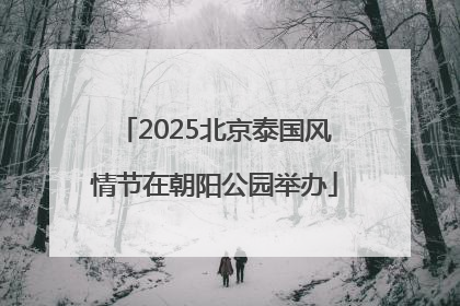 2025北京泰国风情节在朝阳公园举办