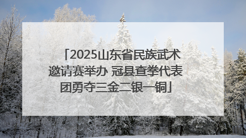 2025山东省民族武术邀请赛举办 冠县查拳代表团勇夺三金二银一铜