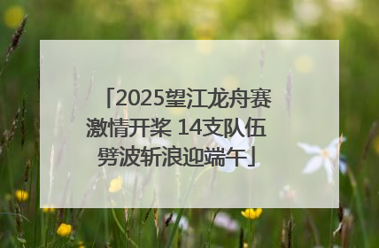 2025望江龙舟赛激情开桨 14支队伍劈波斩浪迎端午