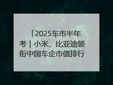 2025车市半年考｜小米、比亚迪领衔中国车企市值排行榜 保时捷跌出全球TOP10