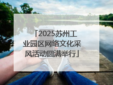 2025苏州工业园区网络文化采风活动圆满举行