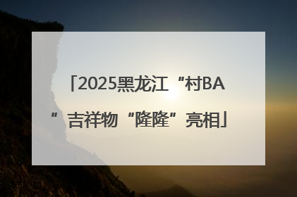 2025黑龙江“村BA”吉祥物“隆隆”亮相