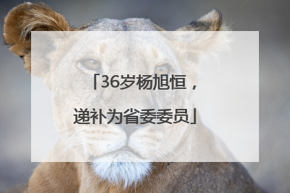 36岁杨旭恒，递补为省委委员
