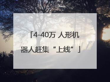 4-40万 人形机器人赶集“上线”