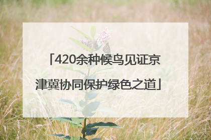 420余种候鸟见证京津冀协同保护绿色之道