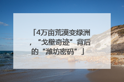 4万亩荒漠变绿洲，“戈壁奇迹”背后的“潍坊密码”