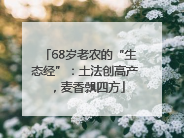 68岁老农的“生态经”：土法创高产，麦香飘四方