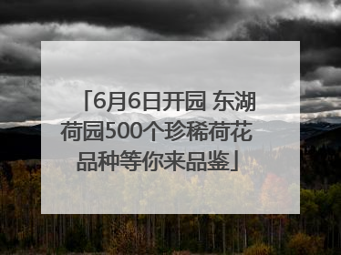 6月6日开园 东湖荷园500个珍稀荷花品种等你来品鉴