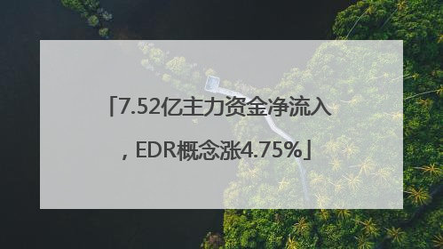 7.52亿主力资金净流入，EDR概念涨4.75%