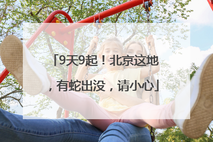 9天9起！北京这地，有蛇出没，请小心