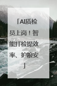 AI质检员上岗！智能扦检提效率、护粮安